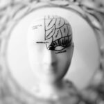 Close-up black and white image of a phrenology head with brain sections labeled.