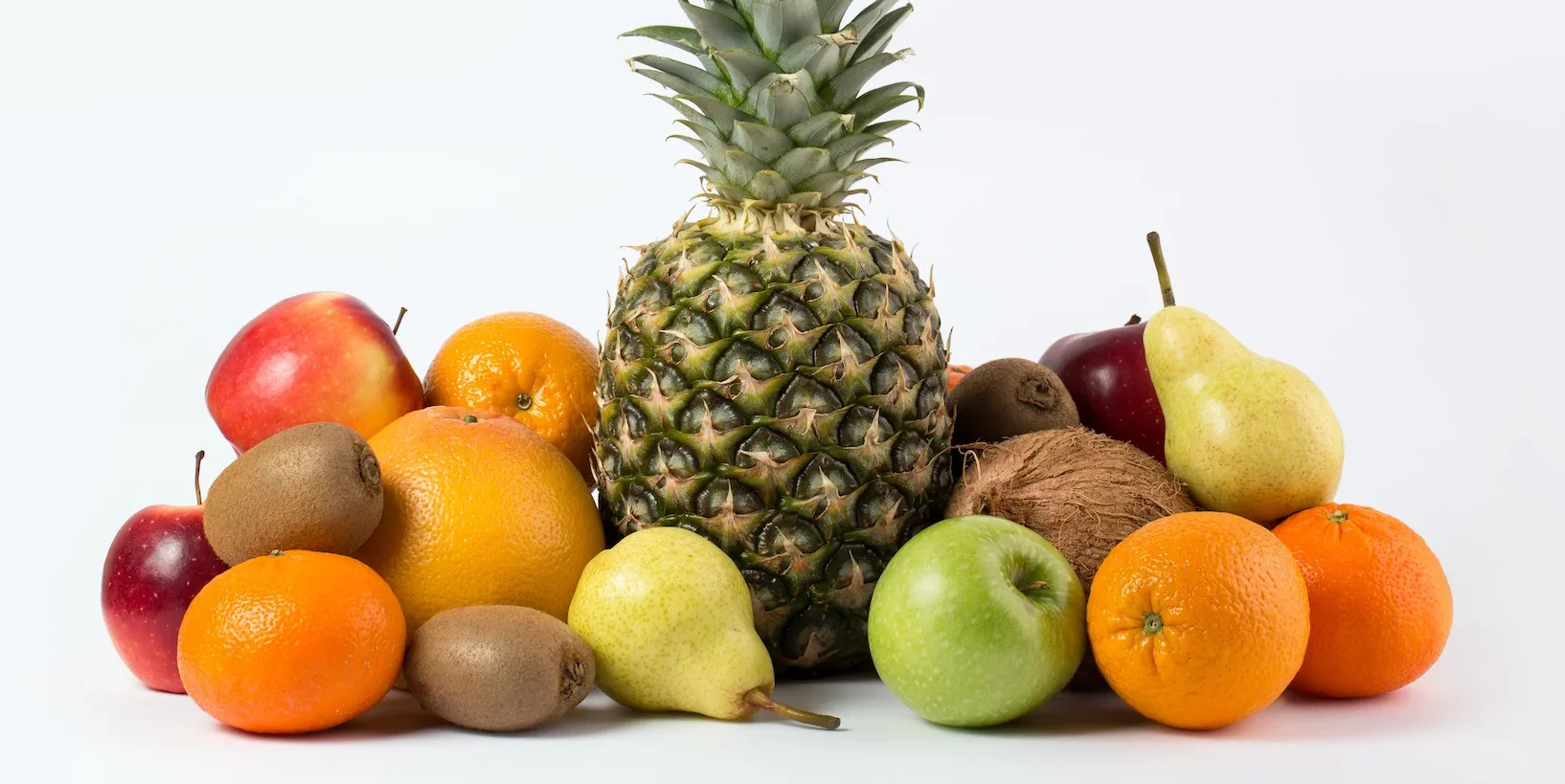 organic fruit powder fruit zips